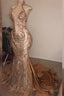 2025 Mermaid Dusty Rose Halter Long Backless Lace Prom Dresses