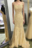 Backless Orange Lace Long Formal Prom Dresses, Mermaid Orange Lace Formal Dresses