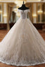 Ball Gown Champagne Off The Shoulder Tulle Appliques Wedding Dresses