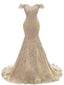 Lace Mermaid Long Evening Prom Dresses
