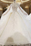 Champagne Ball Gown Tulle Appliques Beading Wedding Dresses With Train
