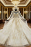 Champagne Ball Gown Tulle Appliques High Neck Long Sleeve Backless Wedding Dresses