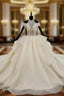 Champagne Ball Gown Tulle Halter Appliques Beading Sequins Wedding Dresses