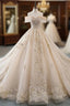Champagne Ball Gown Tulle Lace Appliques Off The Shoulder Haute Couture Wedding Dresses