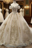 Champagne Ball Gown Tulle Off The Shoulder Appliques Wedding Dresses