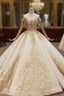 Champagne Ball Gown Tulle Off the Shoulder Lace Appliques Wedding Dresses