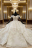 Champagne Ball Gown Tulle Sequins Off the Shoulder Appliques Beading Luxury Wedding Dresses