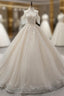 Champagne Ball Gown V-neck Tulle Sequins Appliques Backless Wedding Dresses