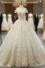 Champagne BallGown Tulle Appliques Off The Shoulder Wedding Dresses