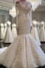 Classic Mermaid Long Sleeves Bridal Gowns Lace Wedding Dresses with Sleeves