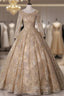Dark Champagne Tulle Embroidery Long Sleeve Quinceanera Dresses