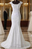 Elegant Jewel Long Lace Mermaid Wedding Gown With Appliques