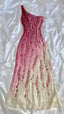 Fantasy Bodycon 3D Floral Chiffon Party Dresses