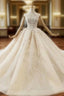 Fashion Dark Champagne Tulle Sequins Beading Wedding Dresses With Train