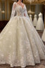 Glamorous Long Sleevess Lace A line Bridal Gown Pirncess Wedding Dress