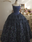 Vintage Elegant Navy Blue Bow Embroidered Train Tulle Ball Gown Prom Dresses Sweet 16 Dresses