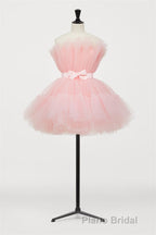 Hot Pink A-line Short Tulle Party Dresses