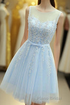 Blue Round Neck A Line Homecoming Dresses