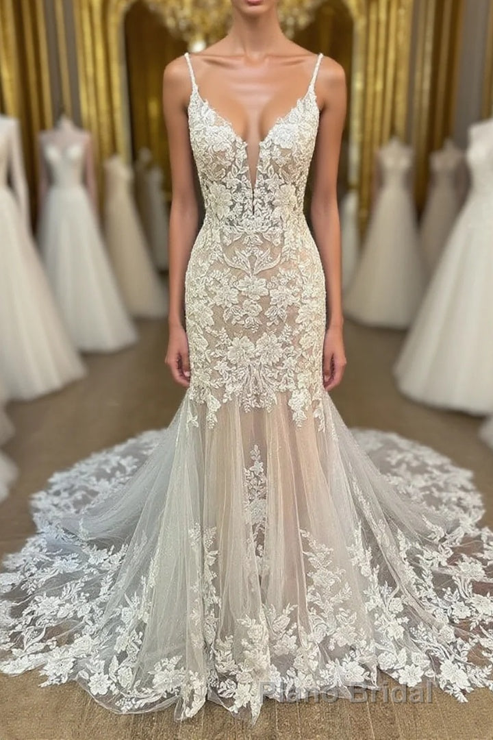 Elegant V Neck Mermaid Lace Appliques Wedding Dresses Main image