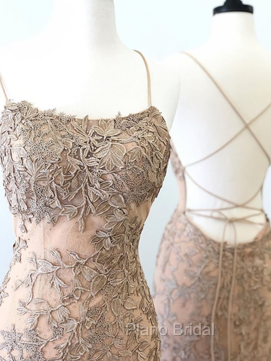 Backless Mermaid Champagne Lace Formal Prom Dresses, Champagne Backless Mermaid Lace Formal Dresses