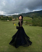 Black Lace Sexy A Line Long Sleeve Formal Evening Dresses Formal Prom Dresses Formal Gown