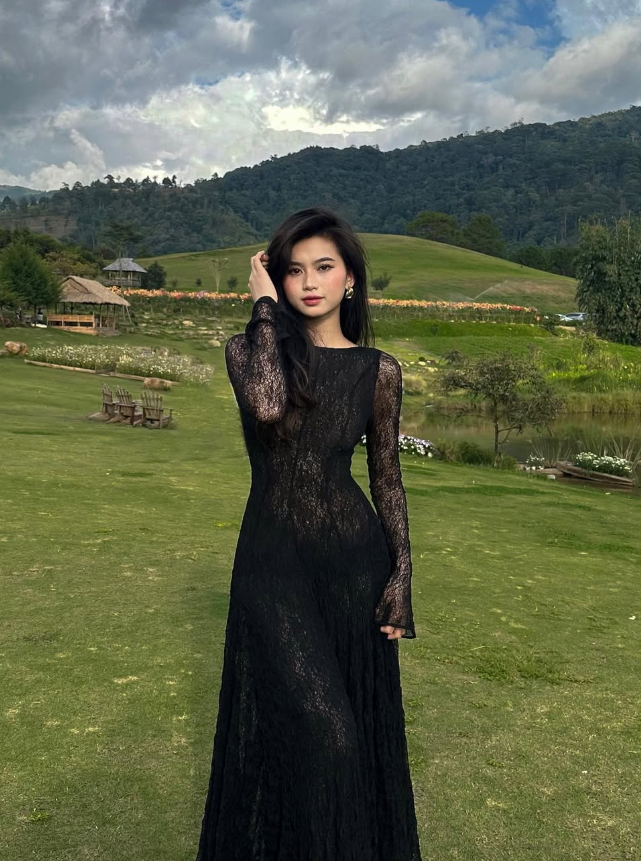 Black Lace Sexy A Line Long Sleeve Formal Evening Dresses Formal Prom Dresses Formal Gown
