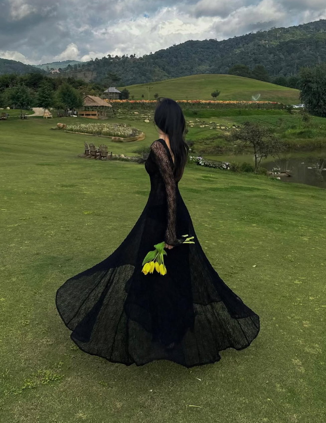 Black Lace Sexy A Line Long Sleeve Formal Evening Dresses Formal Prom Dresses Formal Gown