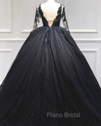 Black Tulle Sheer Neck Appliques Ball Gown Dresses