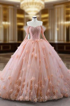 Blush Ball Gown Long Sleeves Sweetheart Quinceanera Dresses