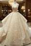Champagne Ball Gown Lace Tulle Sequins V-neck Backless Wedding Dresses