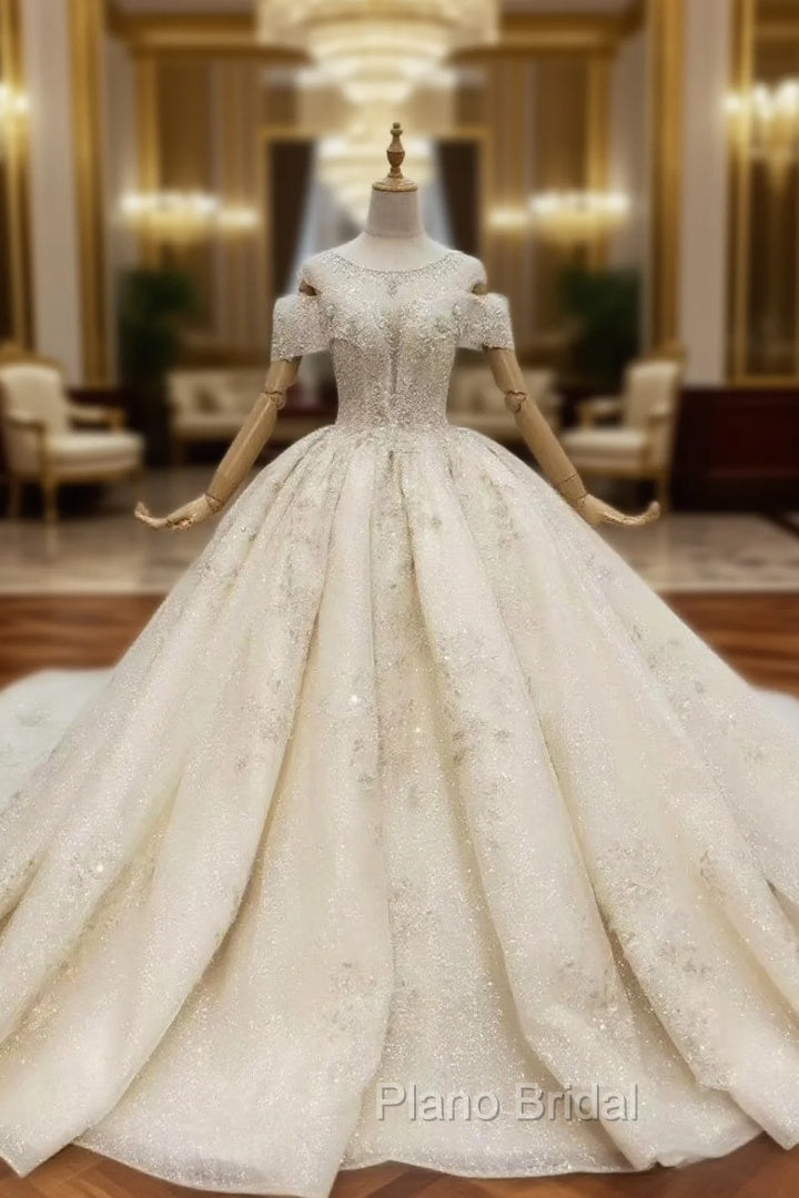 Champagne Ball Gown Tulle Sequins Wedding Dresses With Train Main image