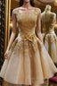 Champagne Lace Tulle High Neck Homecoming Dresses