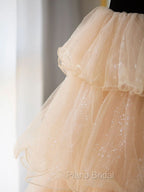 Champagne Sweetheart Neck Tulle Long Formal Prom Dresses, Champagne Formal Dresses