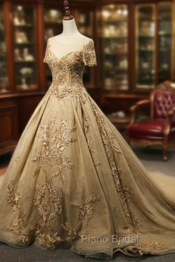 Champagne Tulle Embroidery Short Sleeve Backless Haute Couture Wedding Dresses
