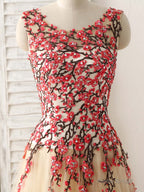 Champagne Tulle Long Prom Dress Lace Applique Evening Dress