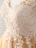 Champagne V Neck Tulle Lace Applique Short Prom Dresses