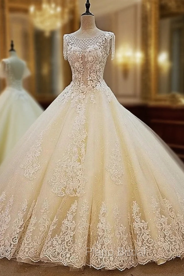 Champagne Wedding Dresses Ball Gown Corset Back Beading Lace Bridal Gowns Main image