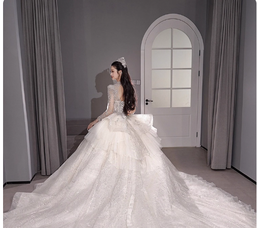 Chic A-Line Long Wedding Dresses Tulle  White Bridal Gowns Long Sleeves Bridal Dresses
