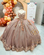 Coffee Beaded Quinceanera Dresses Sexy Spaghetti Neck Appliqued 3D Floral Sweet 16 Princess Ball Gown Pageant Gowns Vestido