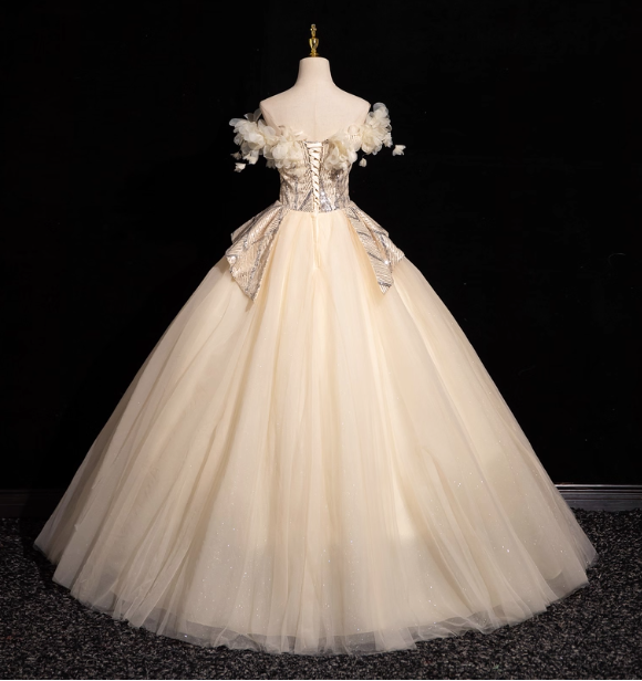 Elegant Champagne One-Shoulder 3D Floral Tulle Long Ball Gown Prom Dresses Sweet 16 Dresses