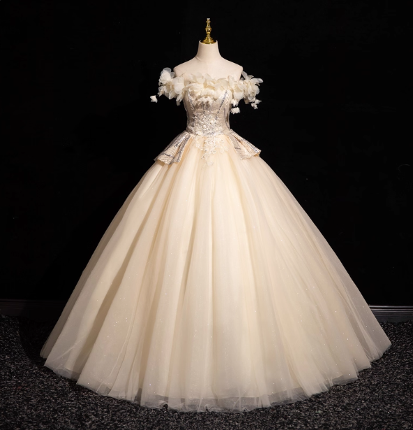 Elegant Champagne One-Shoulder 3D Floral Tulle Long Ball Gown Prom Dresses Sweet 16 Dresses Main image