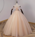 Elegant Champagne One-Shoulder Tulle Long Ball Gown Prom Dresses Sweet 16 Dresses