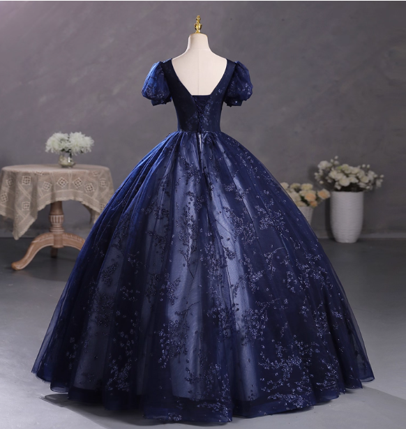 Elegant Court Navy Blue Crew Neck Puff Sleeve Embroidered Tulle Ball Gown Prom Dresses Sweet 16 Dresses