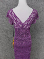 Elegant Purple V-Neck Lace Long Formal Prom Dresses