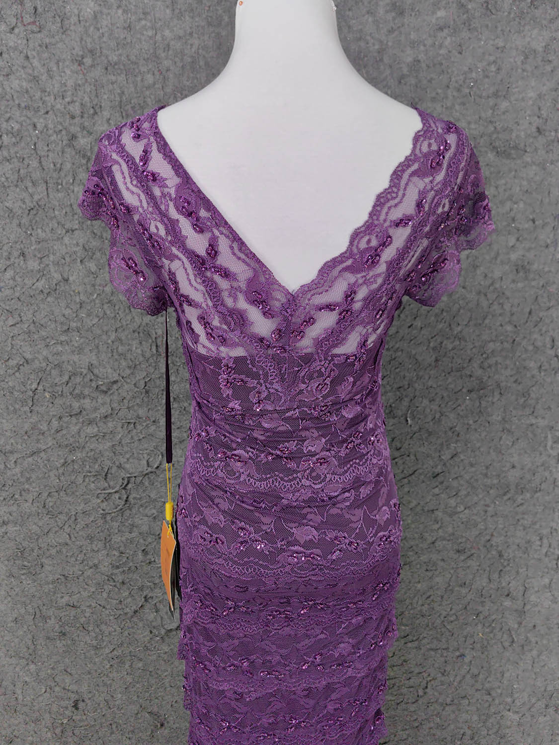 Elegant Purple V-Neck Lace Long Formal Prom Dresses