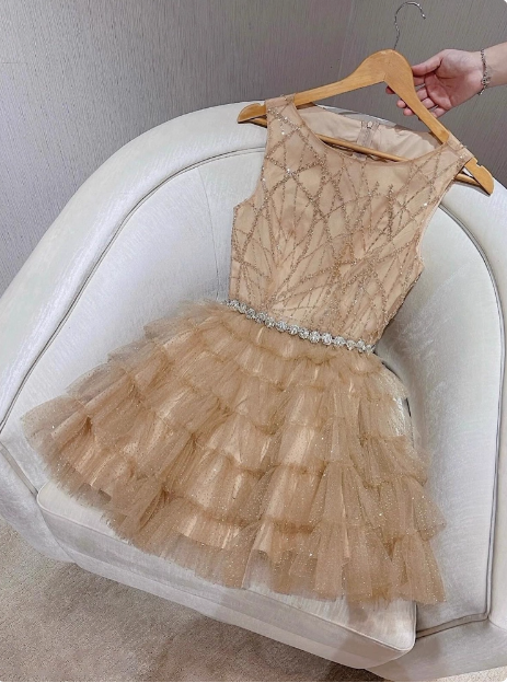 Elegant Round Neck Champagne Tulle Cake Birthday Short Skirt Homecoming Dresses Main image