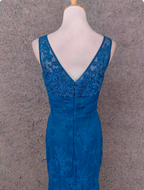 Elegant Vintage Royal Blue V-Neck Lace Long Formal Prom Dresses