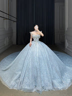 Fairytale Ball Gown Strapless Neckline Sequin Light Sky Blue Long Wedding Dresses Brides Dresses