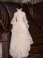 Champagne Tulle Long Sleeve Evening Party Dress