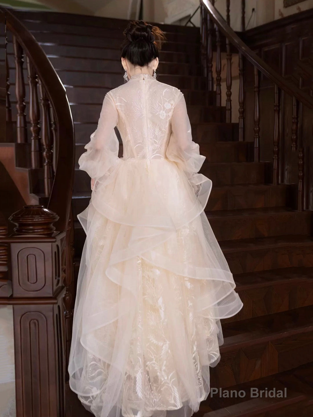 Champagne Tulle Long Sleeve Evening Party Dress